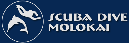 Scuba Diving on Molokai – Dive Hawaii's Longest Reef – Molokai, Hawaii Logo